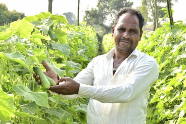Khedut Success Story: સાગબારાના ટેલીઆંબા ગામના ખેડતે પ્રાકૃતિક ખેતીથી કમાલ કરી, માત્ર સવા એકરમાં વાવણી કરી વર્ષે લાખો રૂયિયા કમાય છે