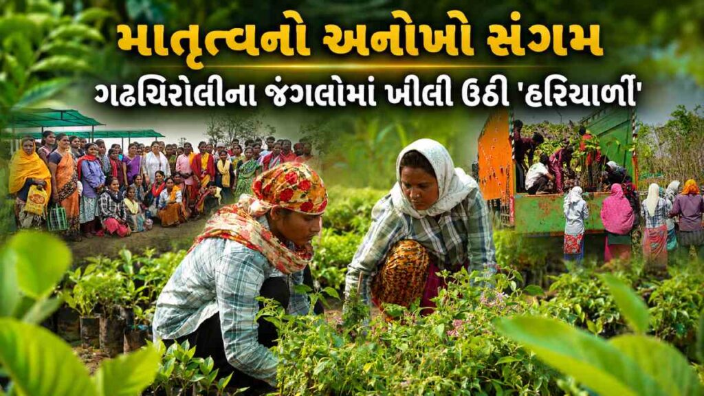 Environment Protection