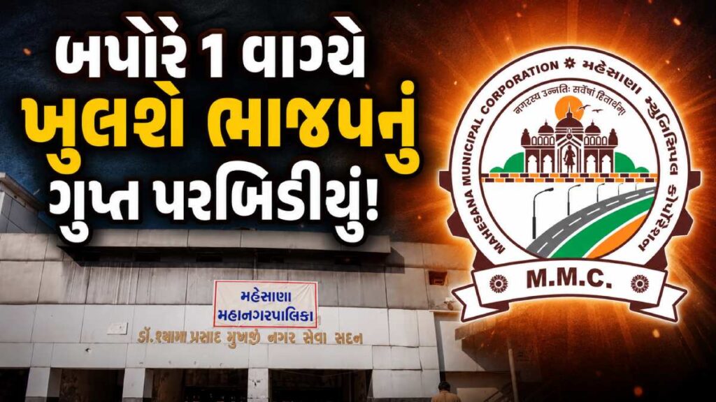 Mehsana Politics