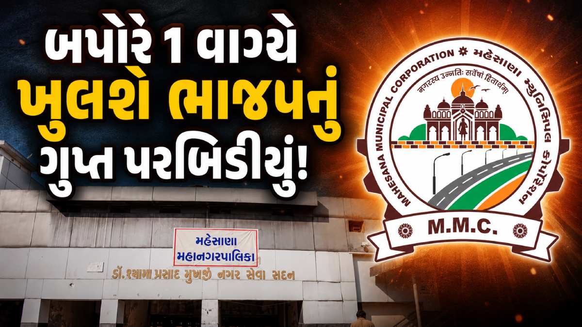 Mehsana Politics