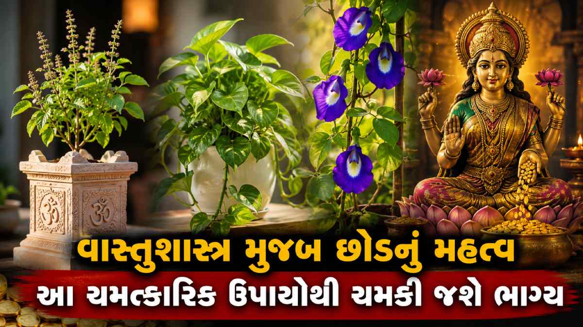 Home Decor Vastu