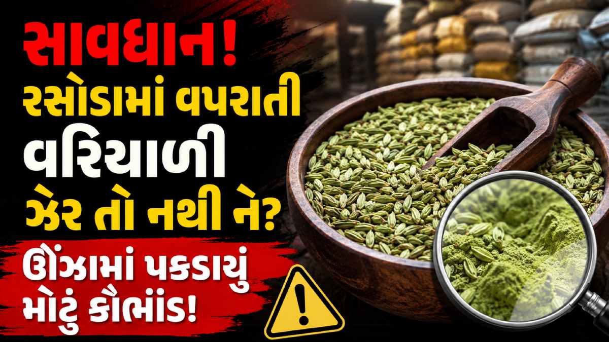 FDCA raid Gujarat