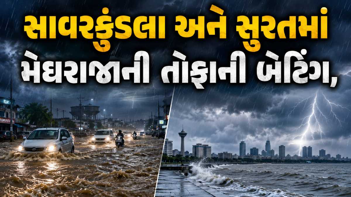 Gujarat Taluka Rain Data