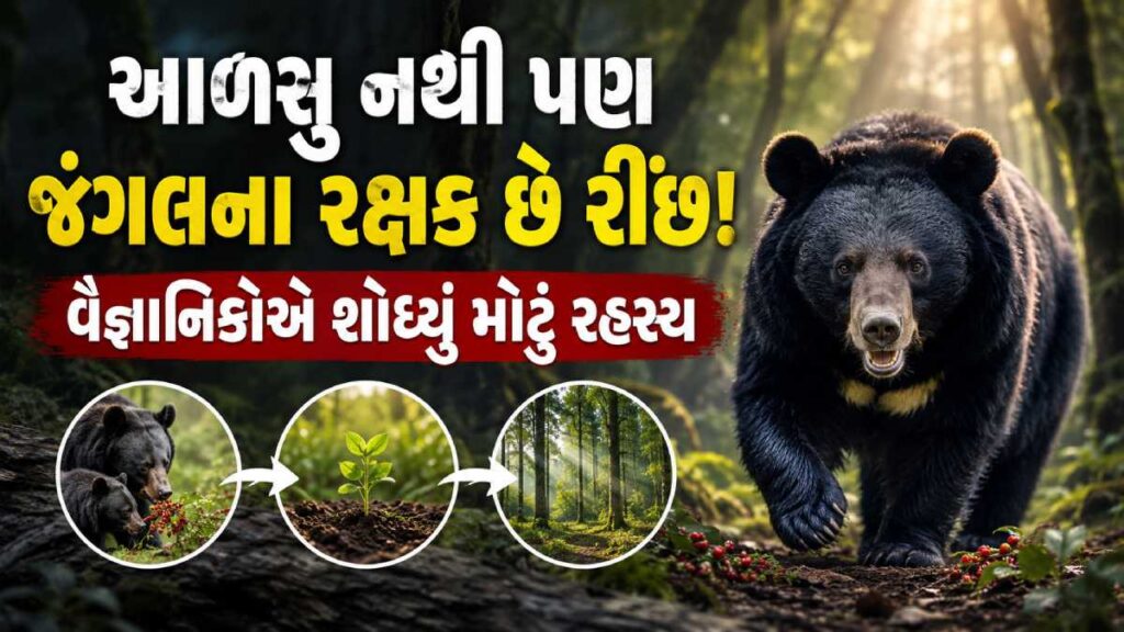 Wildlife Conservation