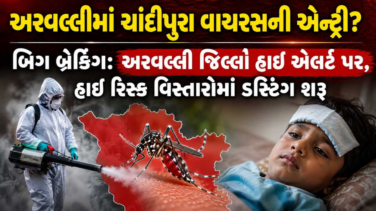 Chandipura virus symptoms child