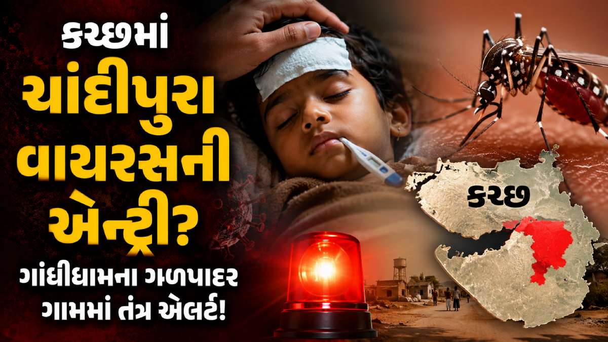 Sandfly Virus Gujarat