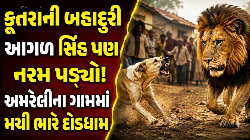 Lion entry in Amreli