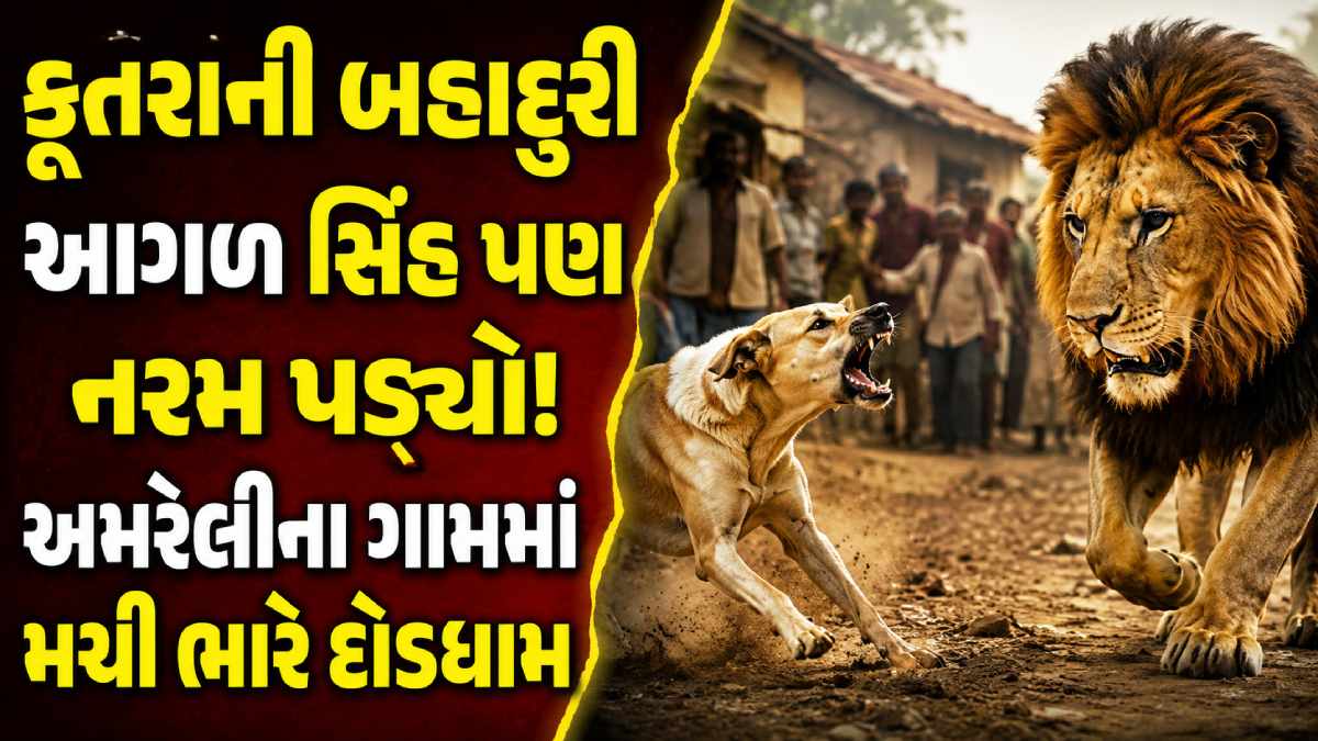 Lion entry in Amreli
