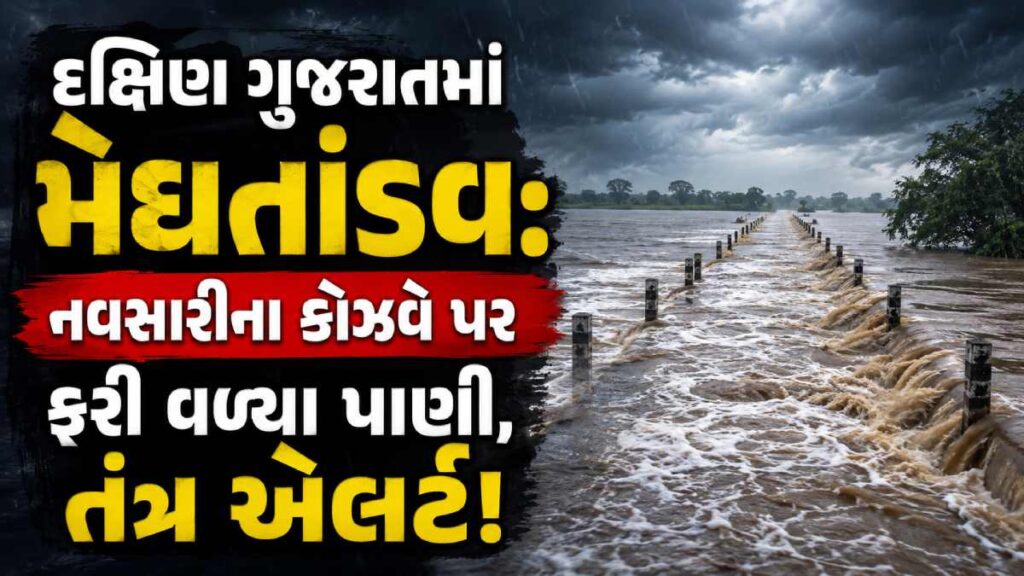 Gujarat Disaster Management