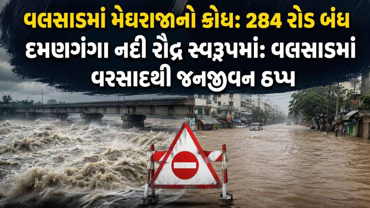 Daman Ganga River Alert